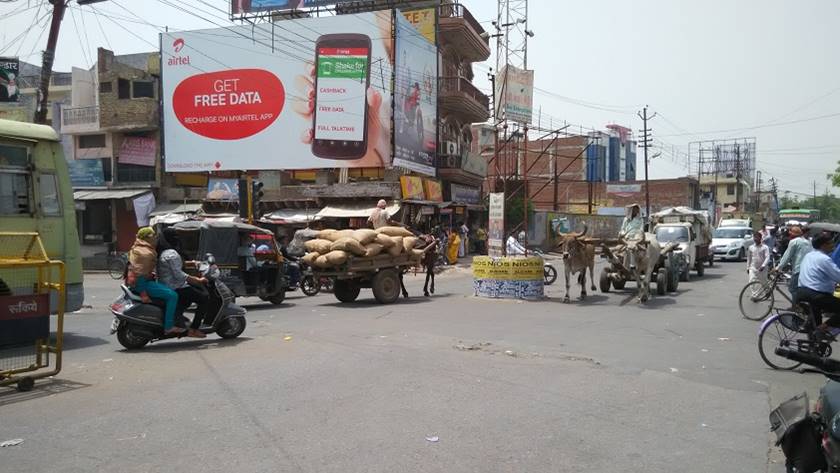 Dubey ka Padao, Aligarh