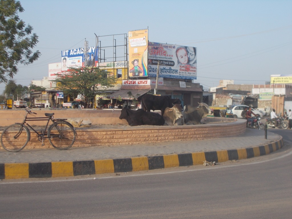 Jhalamand Circle 4, Jodhpur